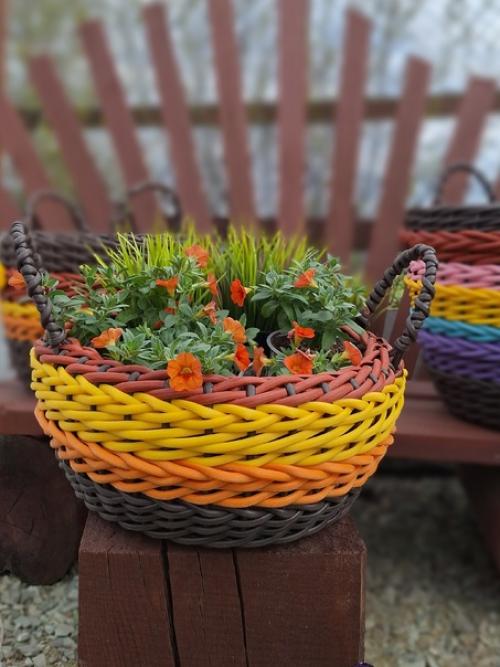 Уже разгар мая, а тепло всё не идёт. 02