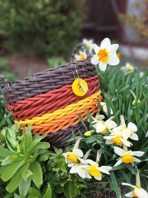 Уже разгар мая, а тепло всё не идёт. 01