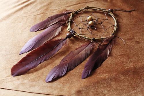 Цветотерапия.  Неделя коричневого. 01