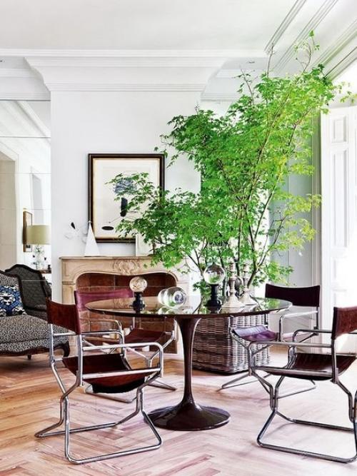 Гигaнтcкиe paстения в интерьере - это всегда супер красиво! 01