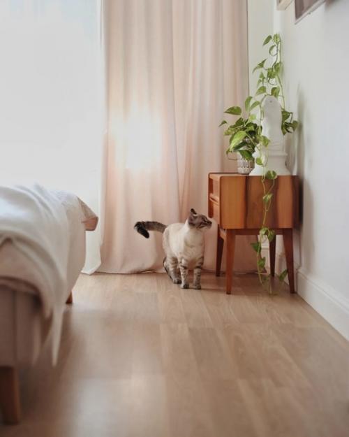 Тонкая эстетика в квартире Екатерины Little_Alise удивительно. 04