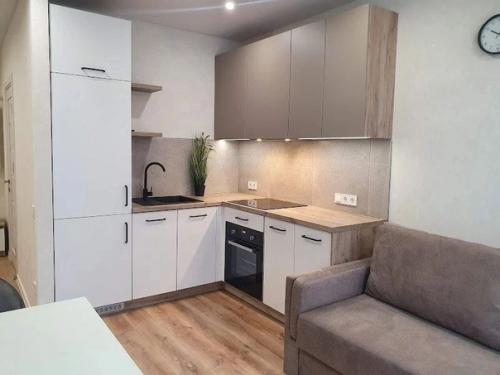 Кухня - студия и зонированая спальня. 07