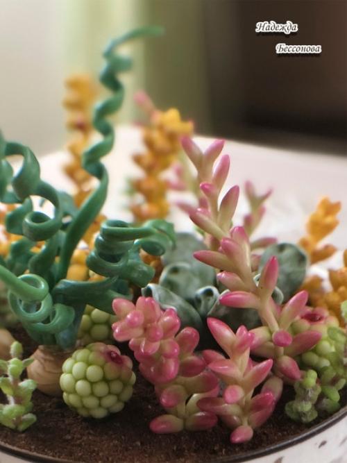 Онлайн курс по лепке суккулентов Мир в Глиняной Чашке с Ольгой лапуновой завершается. 08