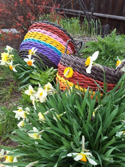 Уже разгар мая, а тепло всё не идёт. 07