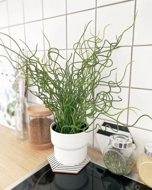 Как сделать уютной съёмную квартиру без лишних затрат? 02