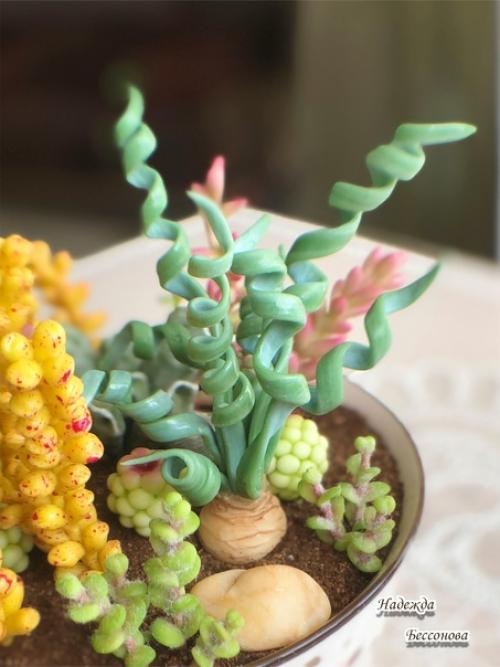 Онлайн курс по лепке суккулентов Мир в Глиняной Чашке с Ольгой лапуновой завершается. 06