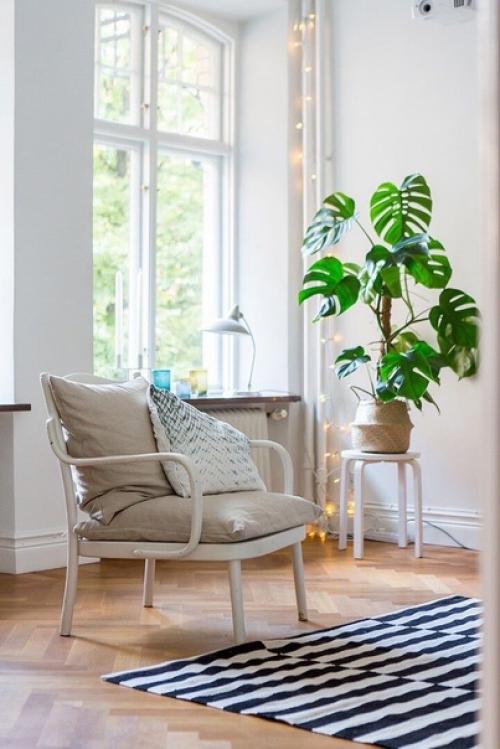 Видно все: почему в Скандинавии не вешают шторы на окна. 01