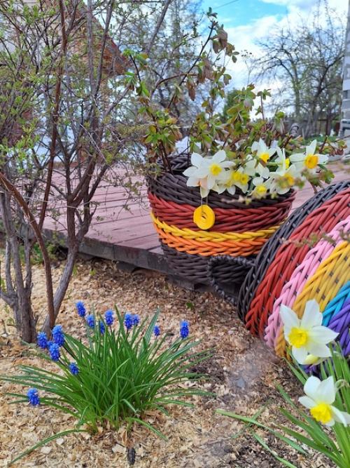 Уже разгар мая, а тепло всё не идёт. 03