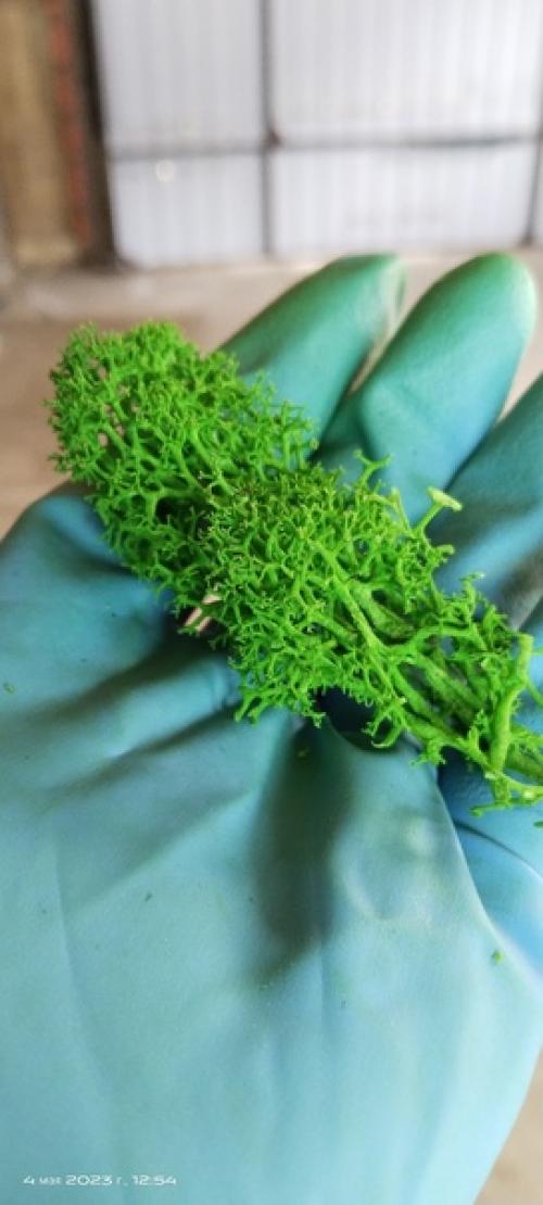 Панно из стабилизированного мха выглядит очень эффектно и современно. 02