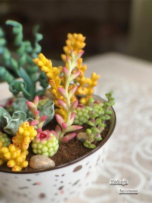 Онлайн курс по лепке суккулентов Мир в Глиняной Чашке с Ольгой лапуновой завершается. 05