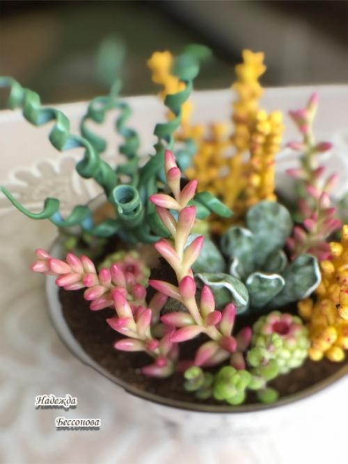 Онлайн курс по лепке суккулентов Мир в Глиняной Чашке с Ольгой лапуновой завершается. 07