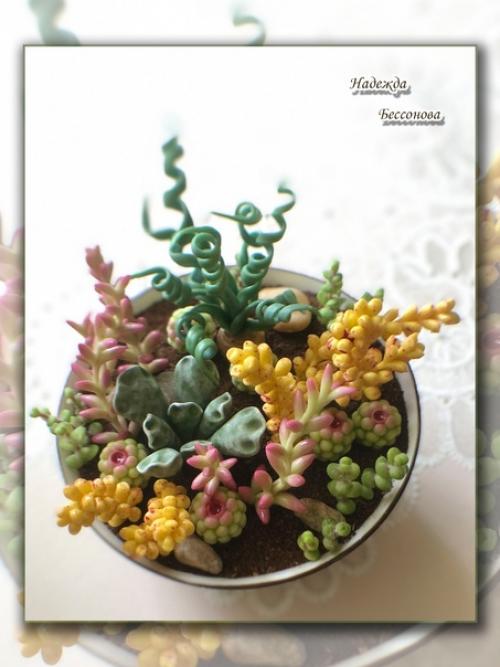 Онлайн курс по лепке суккулентов Мир в Глиняной Чашке с Ольгой лапуновой завершается. 02