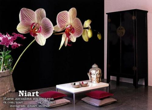 Фотообои - обновление интерьера. 03