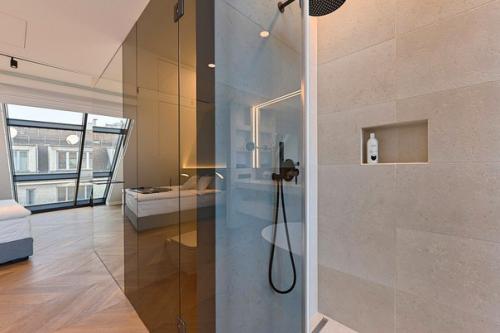 Часть 1. пентхаус на три квартиры в вене. 07