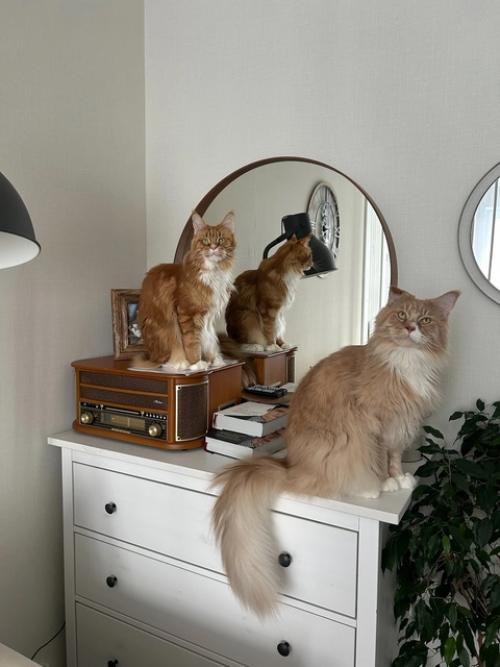 В гостях в уютной квартире Ольги. 03