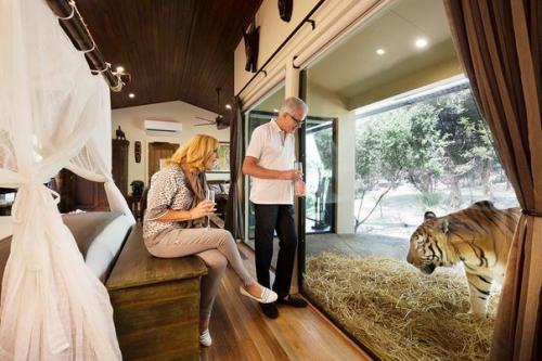 Отель в зоопарке. 09