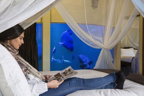 Отель в зоопарке. 07