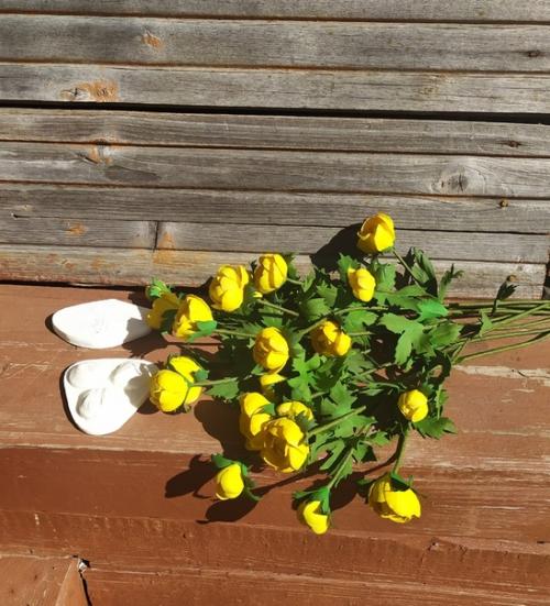 Яркие, жёлтые купальницы, словно маленькие бубенчики расцвели у меня. 07