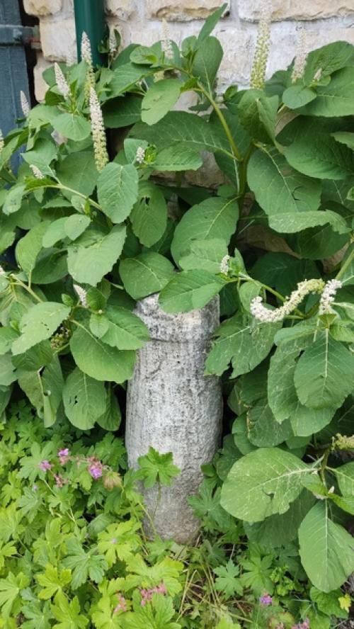 В Пятигорске мы посетили музей - заповедник Домик Лермонтова, вспомнили свои прежние впечатления от этого уникального места. 06