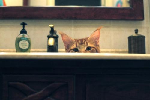 С предвкушением от предстоящих выходных - позитив! 05