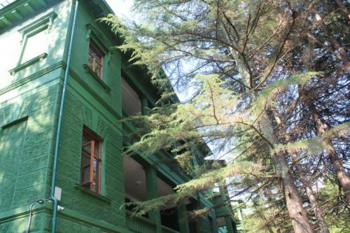 Скрипучая половица.  Ещё три месяца назад, когда покупала билеты на море, я знала, что обязательно приеду сюда. 01