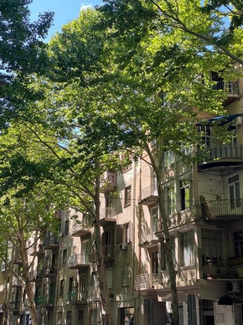 Подборка мест, которые украсят вашу поездку в тбилиси. 07