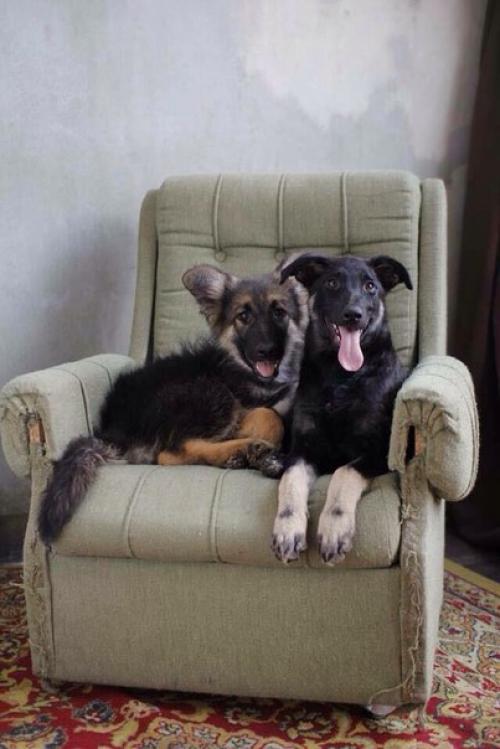 Москва и мо. 03