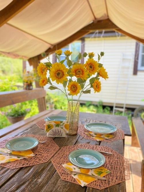 В случае сомнений, поступай так, как делает подсолнух. 02