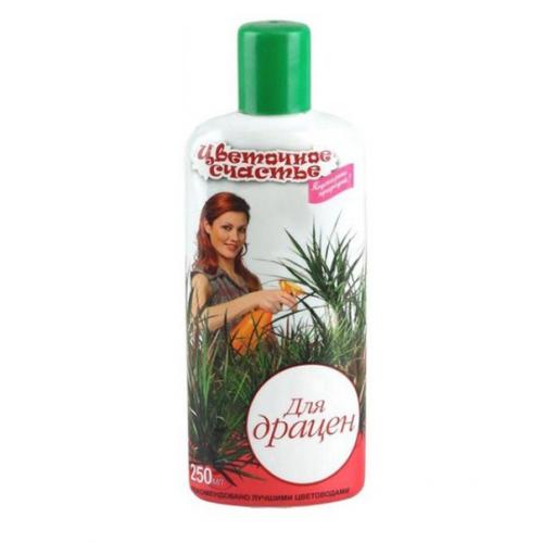 Комнатный цветок - пальма драцена: посадка, уход. 08 Комнатный цветок - пальма драцена: посадка, уход. 08