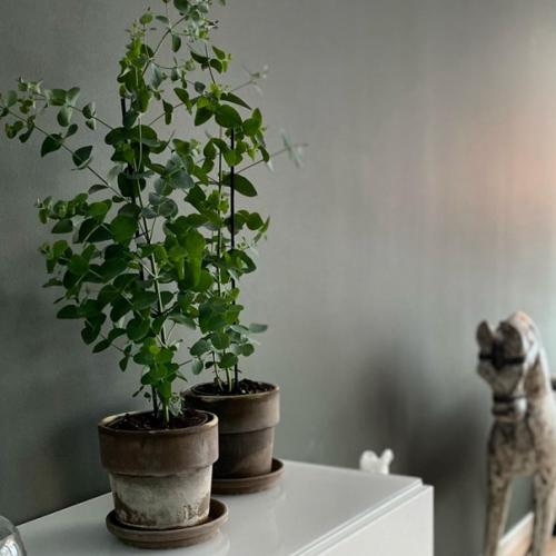 Есть много причин, по которым домашний декор так важен в интерьере. 08