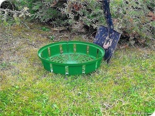 Клумба из тюльпанов своими руками. 01