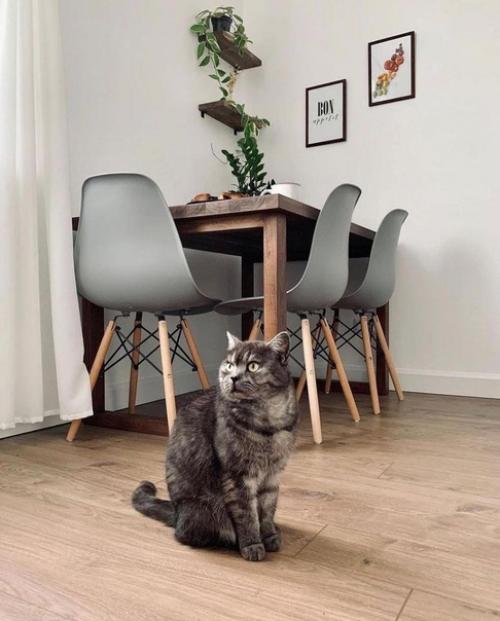 Красивая кухня. В светлых тонах. 02