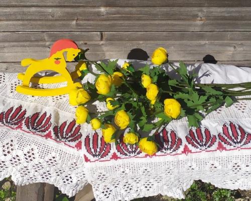 Яркие, жёлтые купальницы, словно маленькие бубенчики расцвели у меня. 02