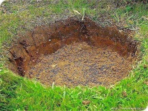 Клумба из тюльпанов своими руками. 03