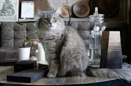 Команда архполе выступила в качестве основных кураторов курса интенсивы PRO Цифровое Производство в марш. 05