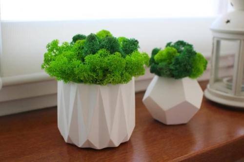 А вы знаете, где можно использовать стабилизированный мох в квартире/доме? 05