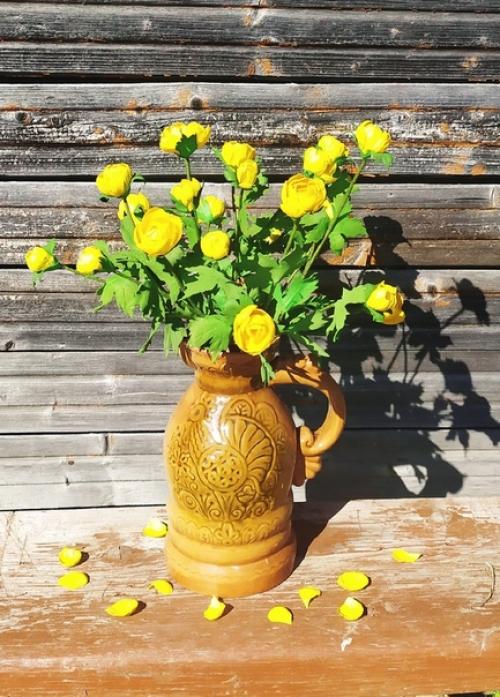 Яркие, жёлтые купальницы, словно маленькие бубенчики расцвели у меня. 08