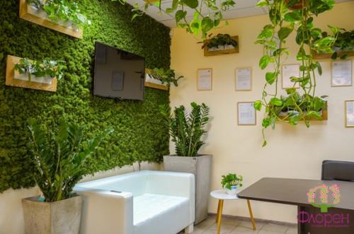 А вы знаете, где можно использовать стабилизированный мох в квартире/доме? 01