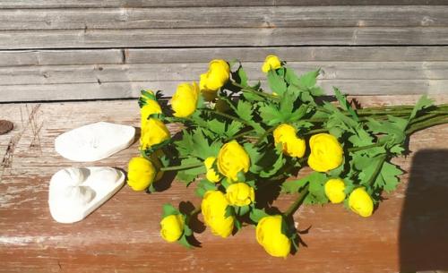 Яркие, жёлтые купальницы, словно маленькие бубенчики расцвели у меня. 06