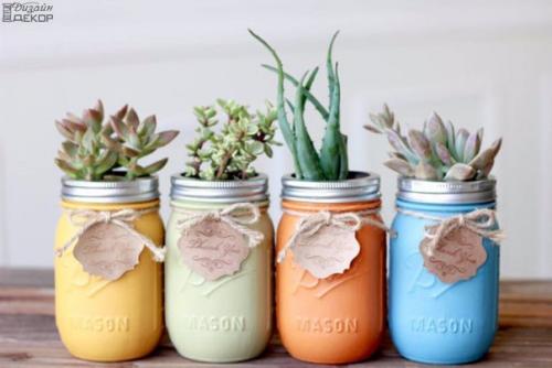 Топ - 5 комнатных растений, которые чистят воздух.

