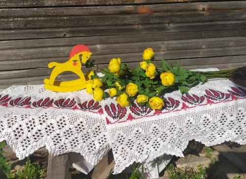 Яркие, жёлтые купальницы, словно маленькие бубенчики расцвели у меня. 01