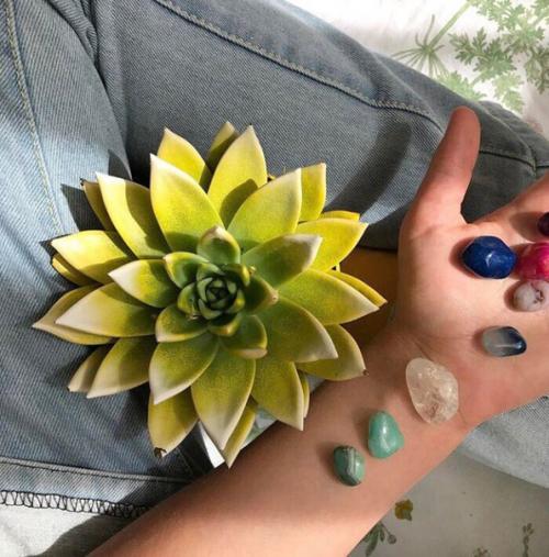 Чем заняться в свободное время? 01