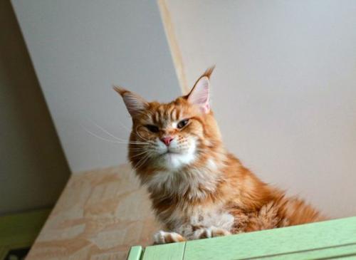 С предвкушением от предстоящих выходных - позитив! 02