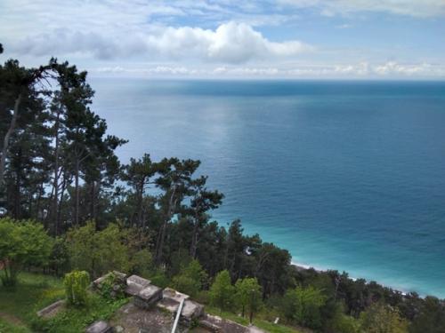 Изабхазиислюбовью.  Сталин страдал манией преследования и множеством комплексов по поводу своего внешнего вида. 01