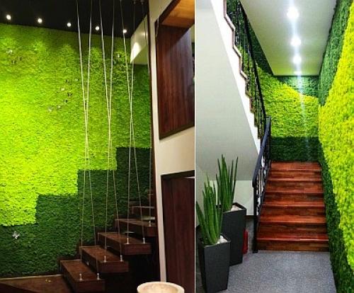 А вы знаете, где можно использовать стабилизированный мох в квартире/доме? 02