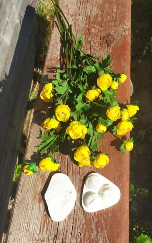 Яркие, жёлтые купальницы, словно маленькие бубенчики расцвели у меня. 04