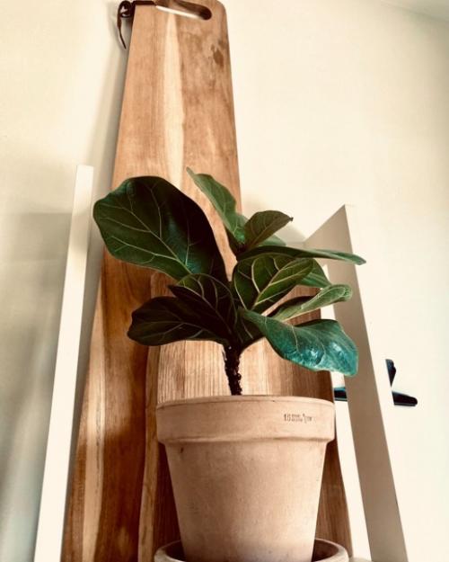 Есть много причин, по которым домашний декор так важен в интерьере. 04