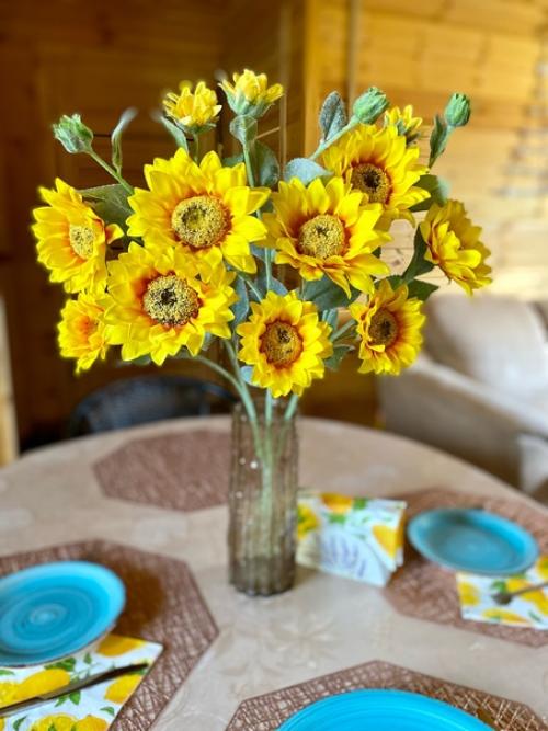 В случае сомнений, поступай так, как делает подсолнух. 03