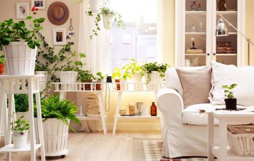 11 советов васту и фэн-шуй для улучшения здоровья.