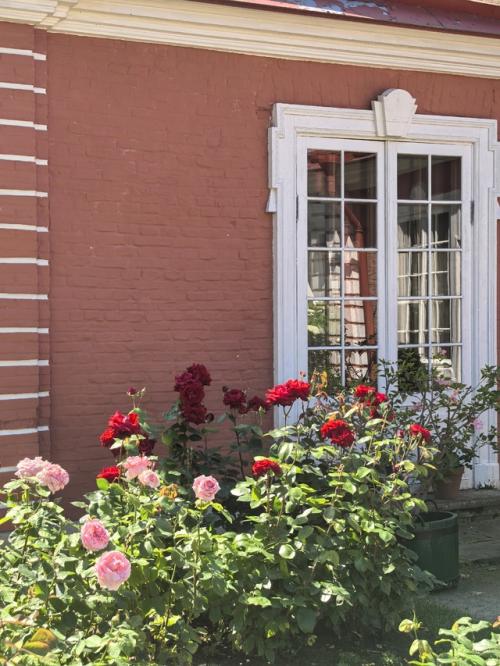 После возведения монплезира ПетрI приказал отстроить неподалёку деревянную мыльню, так в Xviii веке называли баню. 08